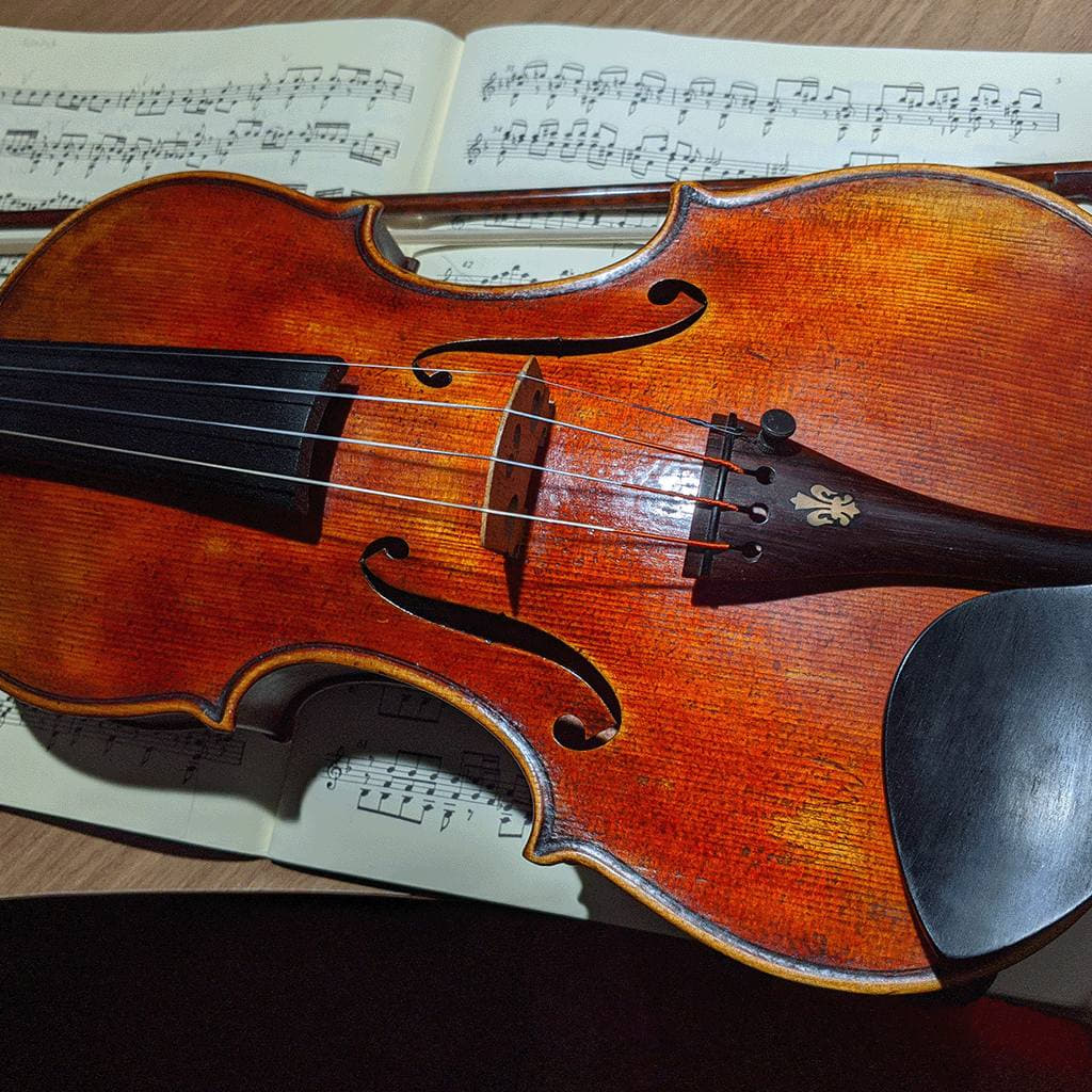 A picture of my violin